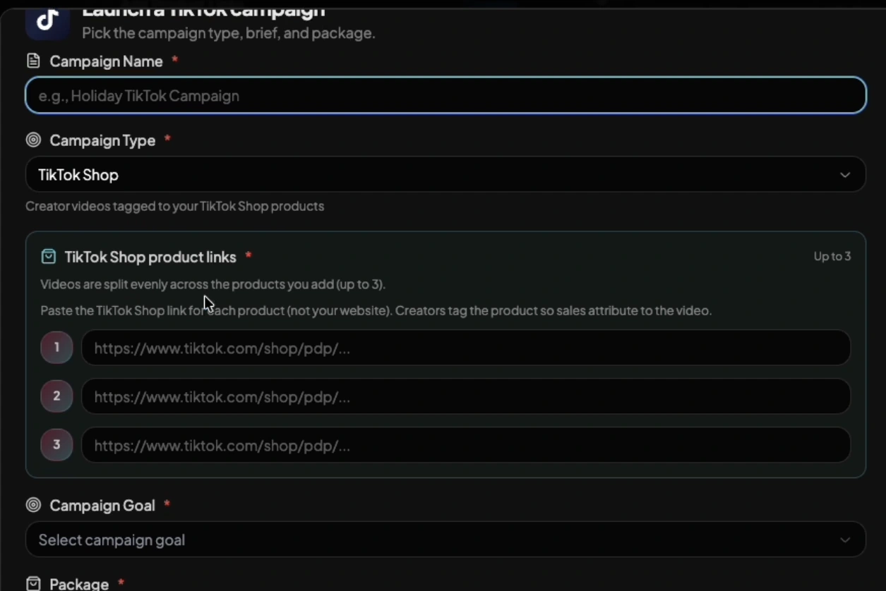 Original campaign setup interface from the brand portal